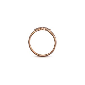 Anillos